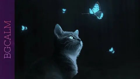 Бабочки для кошек на экране
