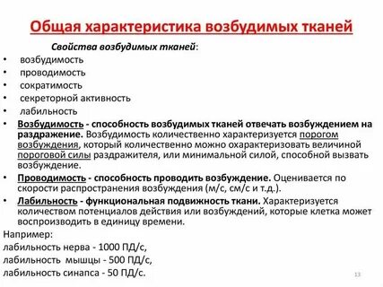 Проводимость возбудимых тканей