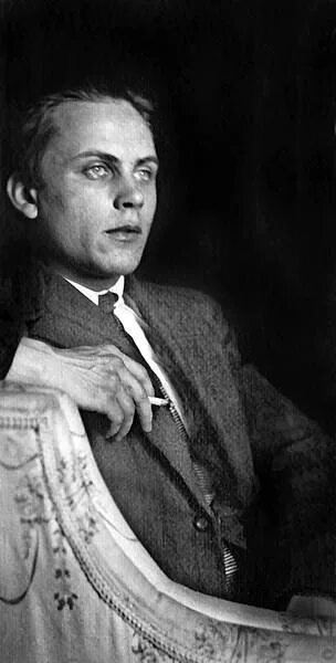 Литвек - Делегат грядущего Павел Николаевич Лукницкий Страница 1 - читать фрагме