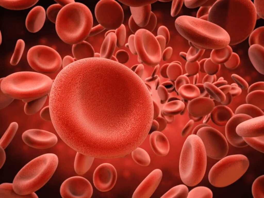 Эритроцит тромбоцит гемоглобин. Blood cells эритроциты. кровяные клетки тромбоциты. кровяные тельца под микроскопом.