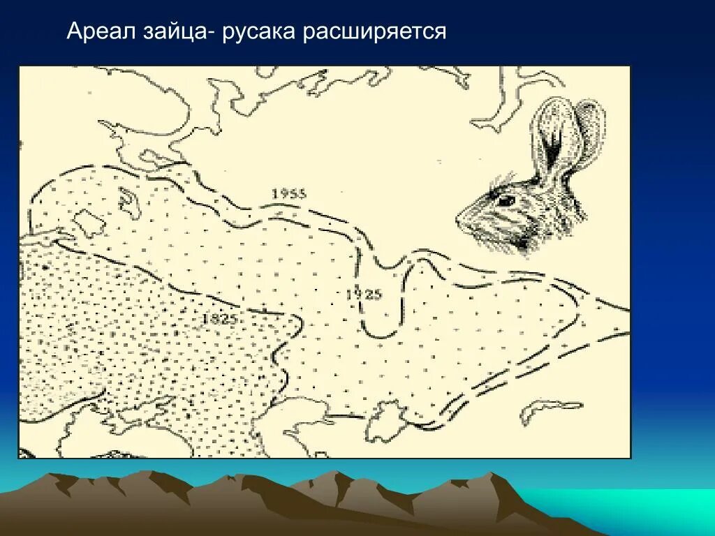 Ареал обитания зайца русака. Эколого-географический критерий. Ареал зайца русака. Ареал распространения зайца русака. Ареал обитания зайца беляка.