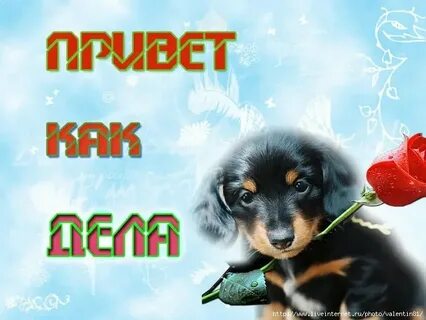 Как дела как жизнь чем занимаешься