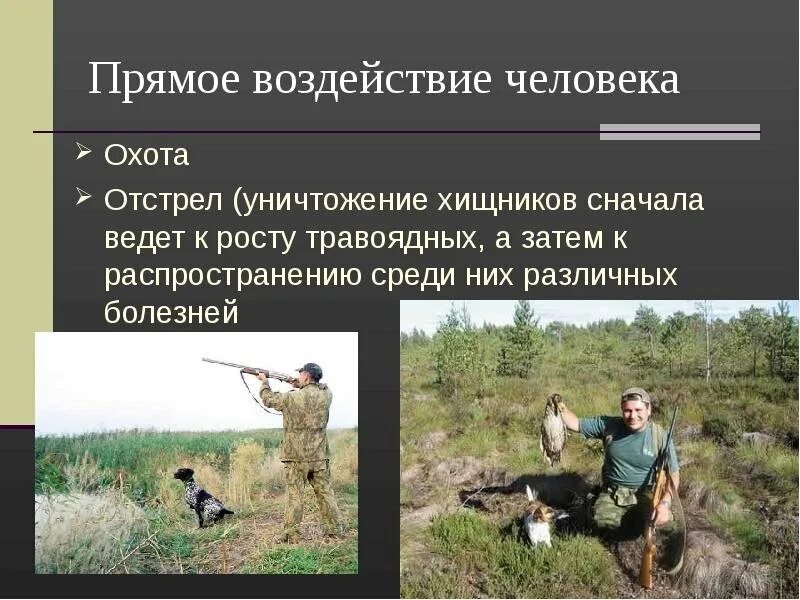 Косвенное влияние на животных. Биотические взаимоотношения в экосистеме. Косвенные животные. Причины сокращения численности животных. Косвенные животные.