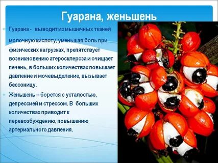 Гуарана что это такое и для чего