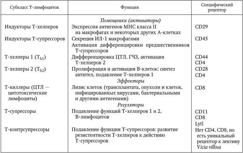 Отличия т и в лимфоцитов таблица. Функции т лимфоцитов и в лимфоцитов. Характеристика и функции т - и в-лимфоцитов.. Т И В лимфоциты их функции. Группы лимфоцитов