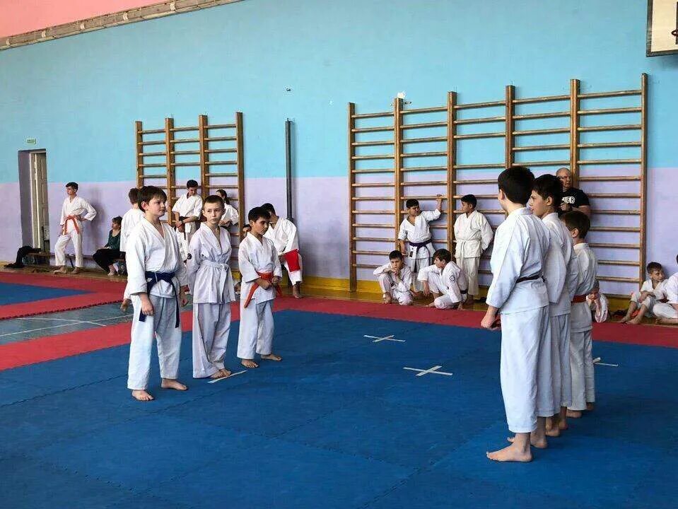 Каратэ киокушинкай курская. Зал для соревнований по каратэ. Като каратист. Каратэ в селе андреевское. Каратэ 1 школа кызыл.