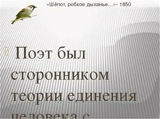Тест по фету 6 класс