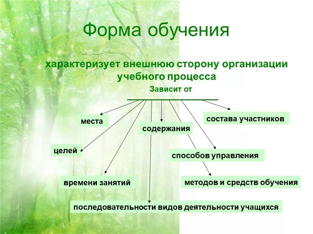 Основной формой организации образовательного процесса является. К формам организации обучения относятся. к формам организации процесса обучения относятся. формы организации обучения (организационные формы). формы организации процесса обучения педагогика кратко.