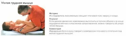 Сокращение мышц в грудной клетке