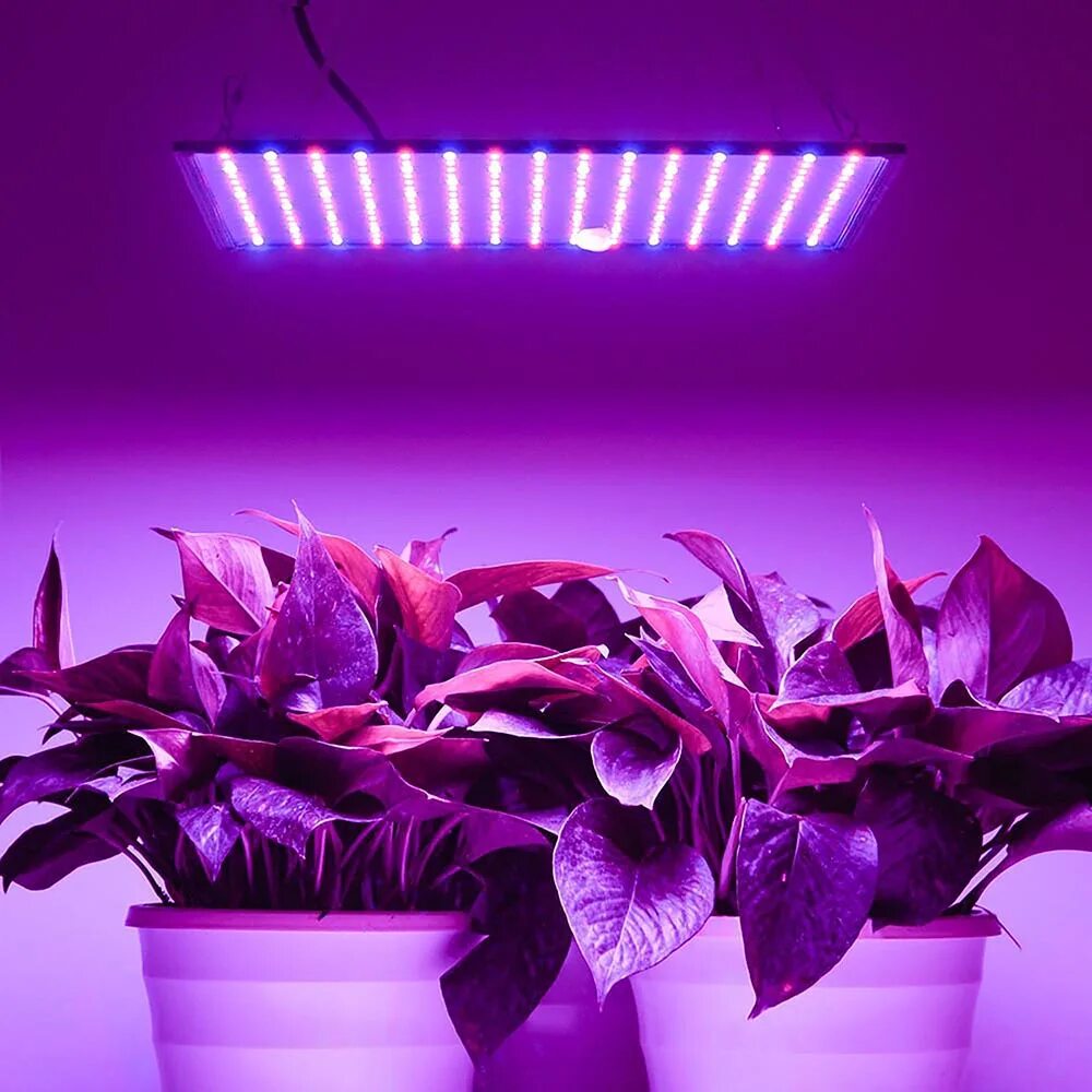 Фитолампа led grow Light. Светодиодная лампа для растений ALIEXPRESS led grow Light. Фитолампа grow Light 40 Вт. Фитолампа SUPERGROW 216led Switch.