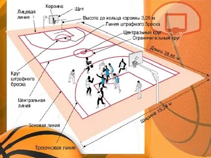 Какое расстояние от кольца до трехочковой линии