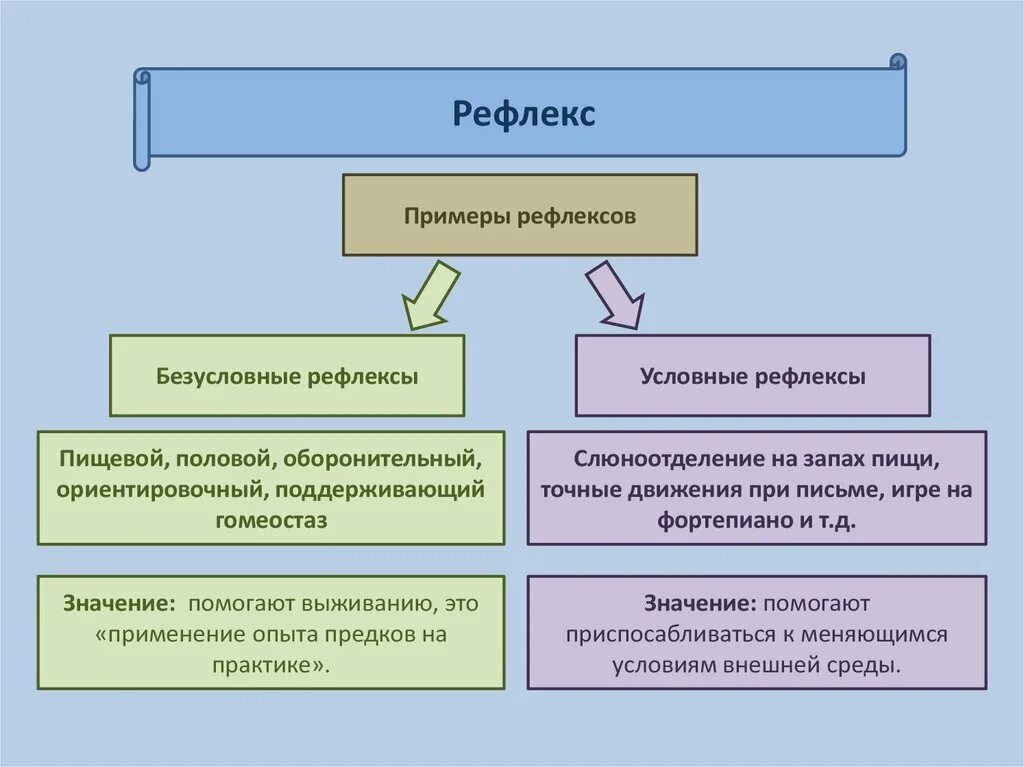 Без условные и условный рефлексы примерц. Безусловные рефлексы пр. Условные рефлексы примеры. Безусловные рефлексыримеры.