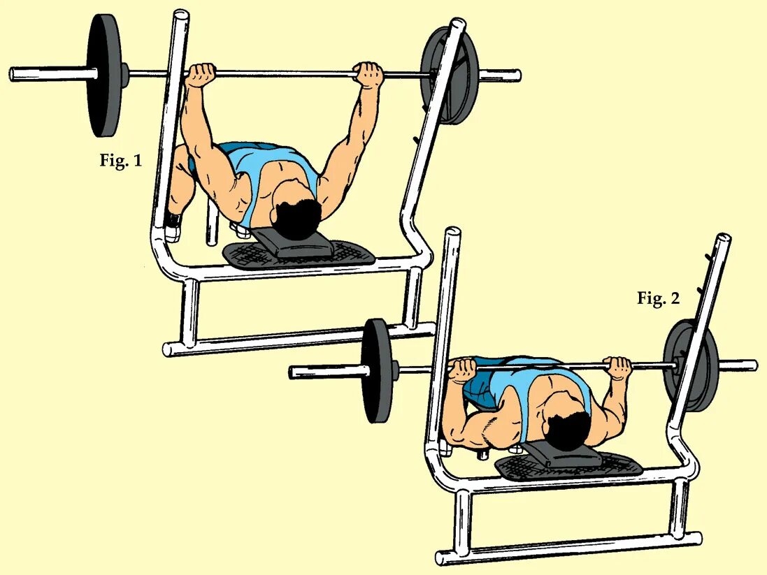 Траектория штанги в жиме лежа. 1 Жим штанги лежа на горизонтальной скамье. Французский жим лежа со штангой техника. Жим лежа правильная техника