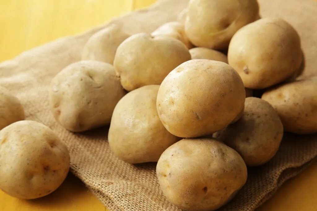 Лилея белорусская картофель. Семенной картофель Винета. Винета сорт картофеля.