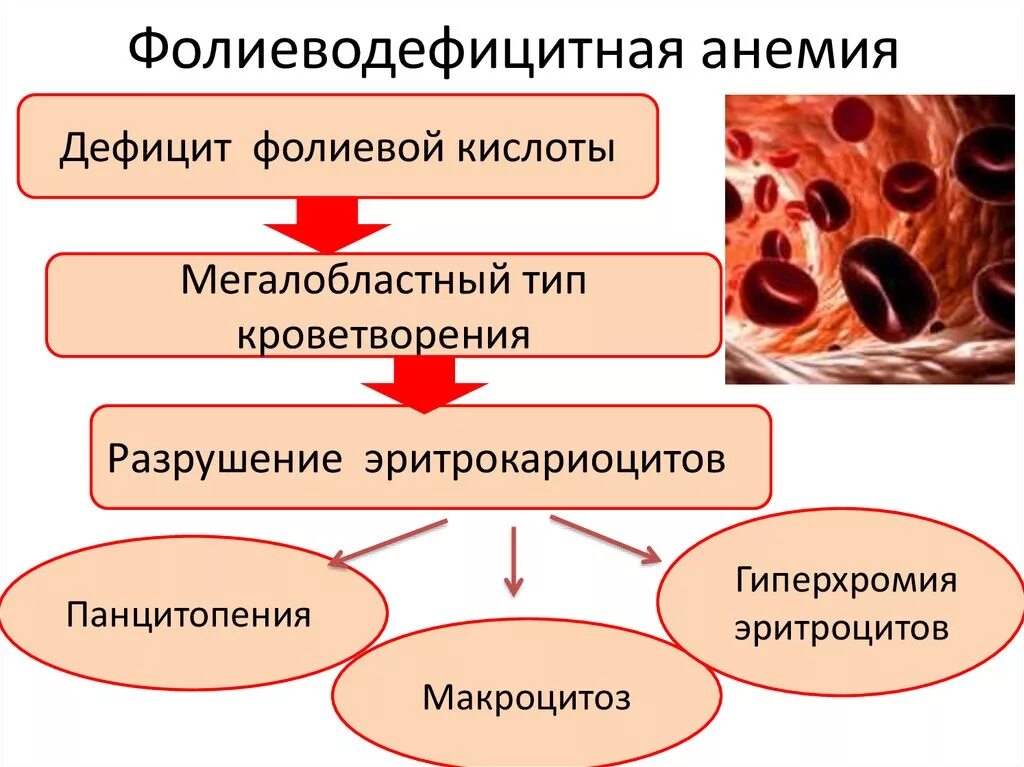 В12 фолиеводефицитная анемия клинические проявления. Для б12 фолиево дефицитной анемии симптомы. В12 фолиеводефицитная анемия диагностика. Клинические проявления фолиеводефицитной анемии.