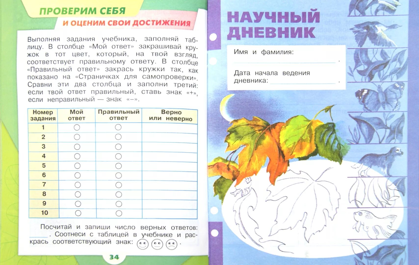 Тетради окружающий мир 4 5 лет. Научный дневник 1 класс. окружающий мир 1 класс. плешаков дневник наблюдений 1 класс. научный дневник 1 класс окружающий мир плешаков.