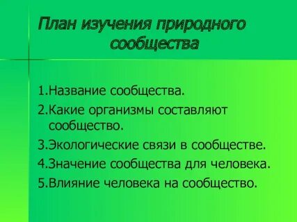 План изучения природного сообщества лес
