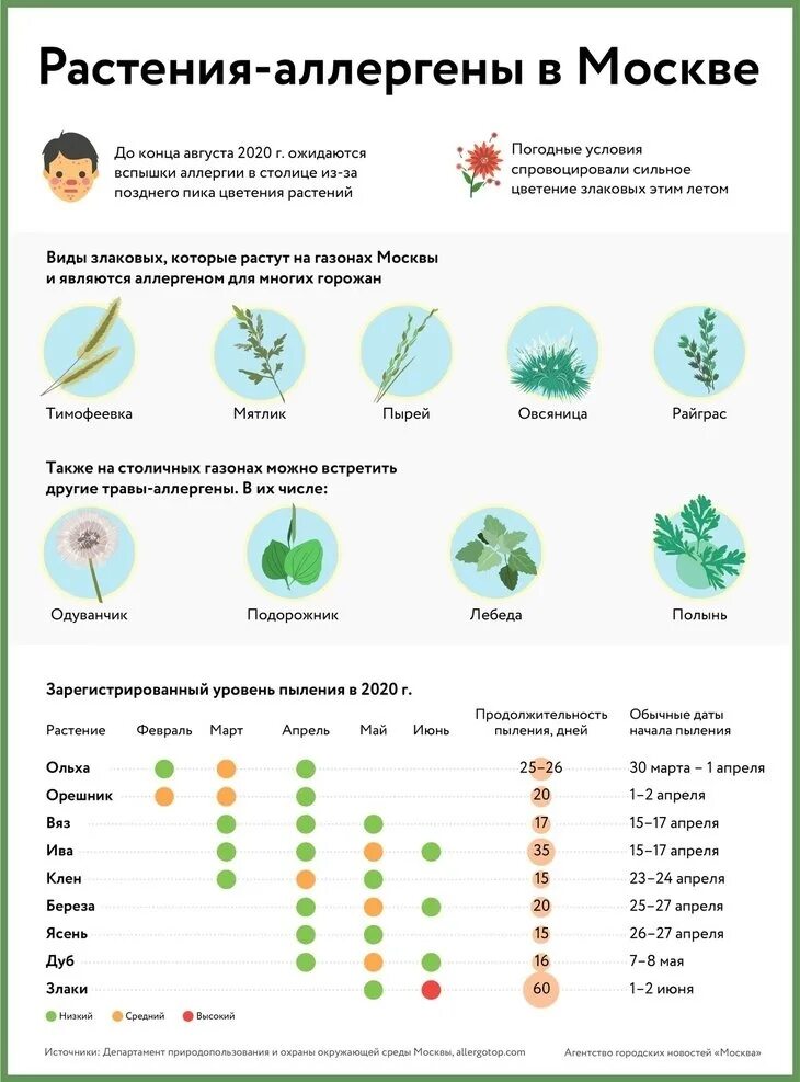 Симптомы аллергии на цветение весной у взрослых