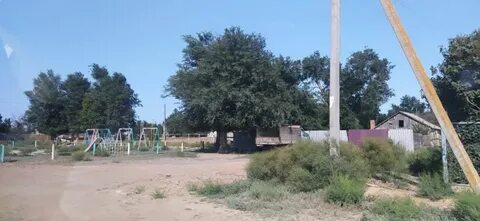 Погода зензели