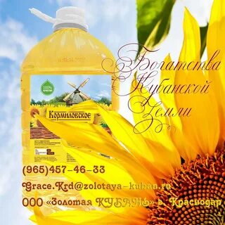 Золотая кубань