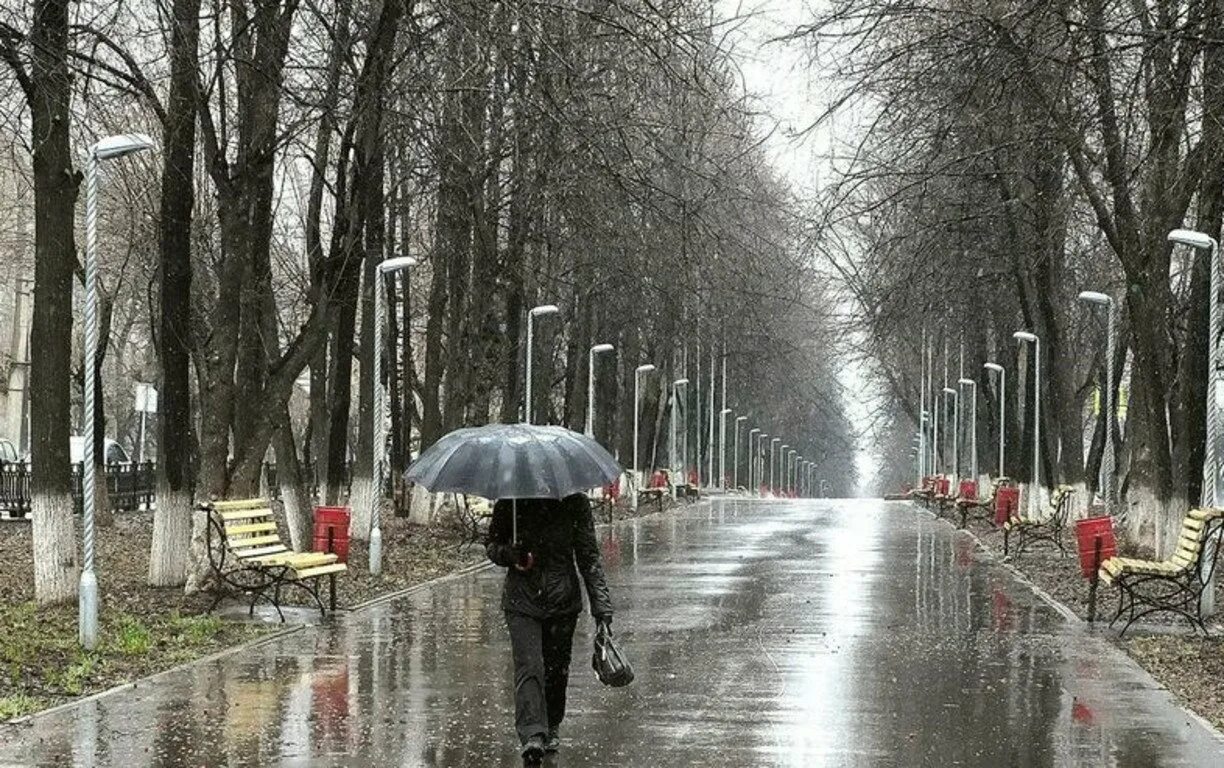 Дождливый день весной. Весенний дождь. Пасмурный дождливый день. В начале погода была дождливой