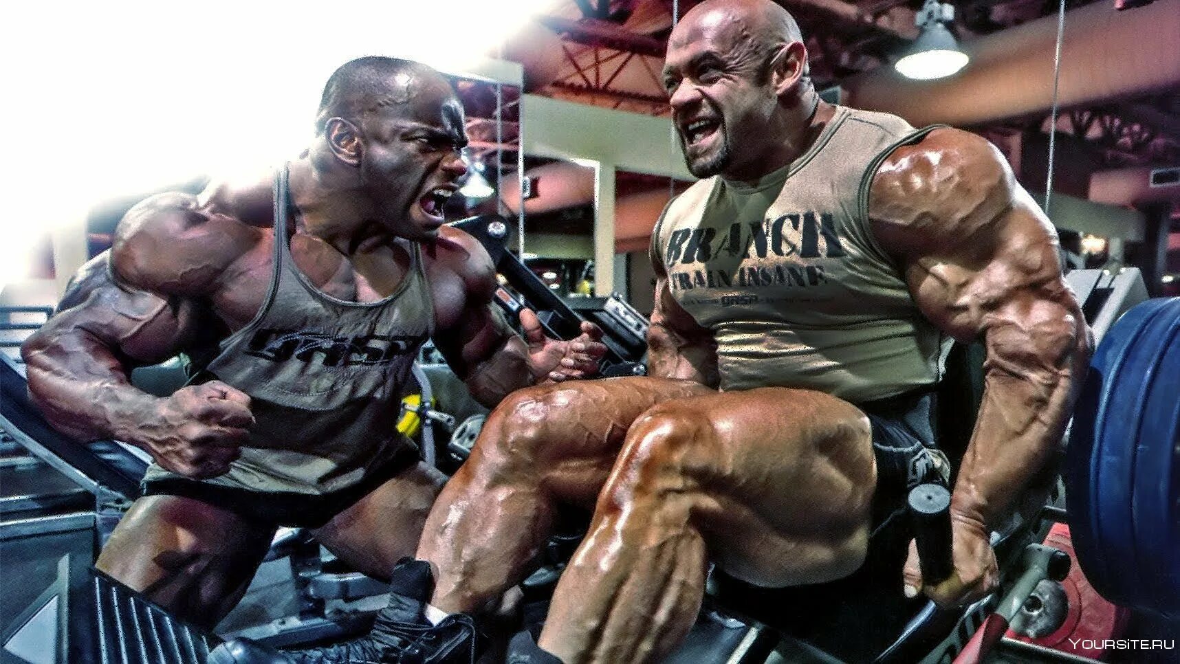 гантели для тренажерного зала. Ryan terry 2021. залы бодибилдинга. мужчина тренируется в зале. монстры спортзала.