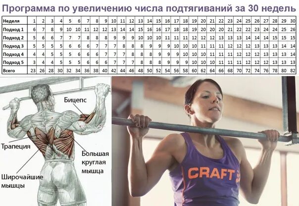 Как увеличить количество подтягиваний на турнике. Схема упражнений турник. схема подтягиваний. программа подтягиваний. подтягивания подходы.
