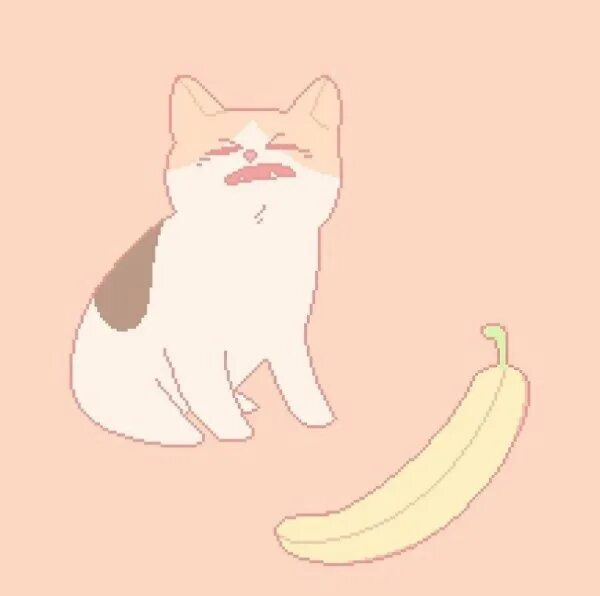 Кот с бананом мем Banana Cat Dance in 2024 Dancing cat, Funny animal videos, Happy cat