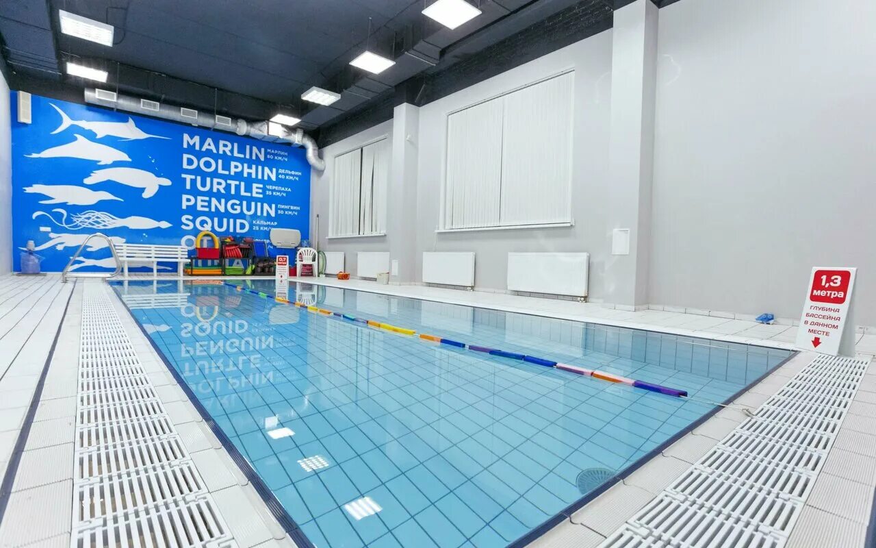 Малый бассейн калининград. Аквасфера, калининград. Название для детского бассейна. Калининград детские бассейны. Бассейн 50 метров калининград.