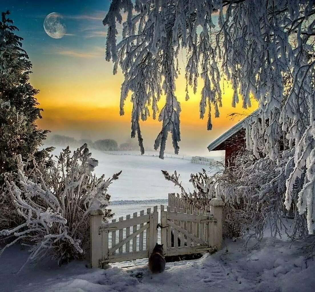 Зимний пейзаж. Сказочная зима. Красивая зима. Сказочные зимние пейзажи. Открытки красивого зимнего вечера