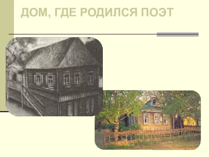 Проект сергей александрович есенин. Где родился листьев. Евгений александрович есенин. Дед есенина никита осипович. Где родился листьев.