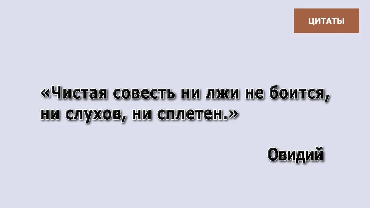 Чистая совесть это. Чистая совесть ни лжи не боится. Чистая совесть. Чистые фразы. Низкие цены чистая совесть.