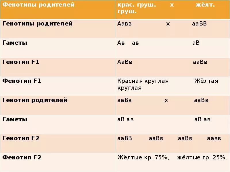 Какой генотип у родителей. Генотип и фенотип. Генотип и фенотип примеры. Генотипы родителей. Фенотип человека примеры.