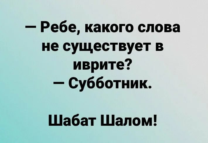 Шалом фраза. Шутки про шабат. шабат картинки смешные. шалом шаббат юмор. шабат шалом прикольные картинки.