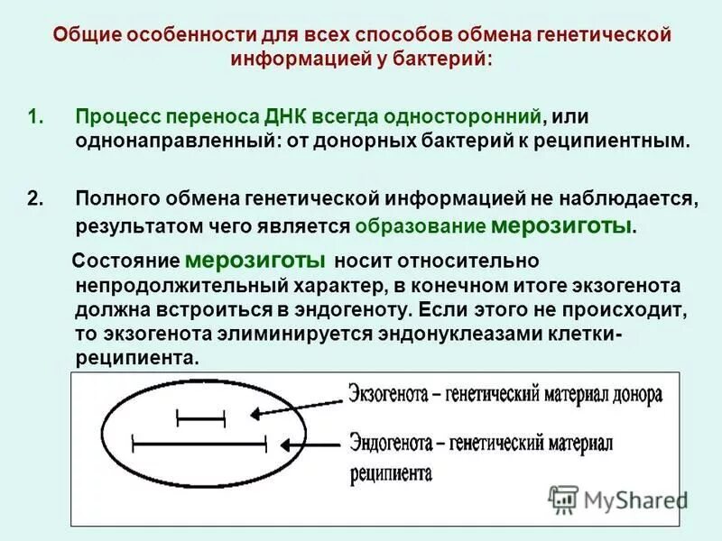 Механизмы обмена генетической информацией у бактерий. Способы обмена генетической информации у бактерий. Размножение бактерий трансформация трансдукция. Обмен наследственной информацией. Наследственная информация у бактерий.