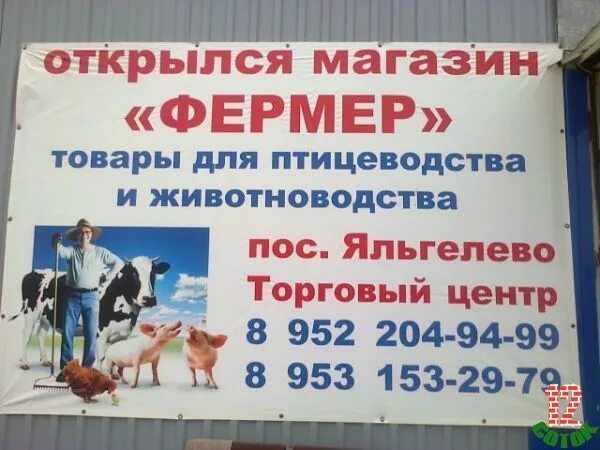 режим работы банков благовещенск