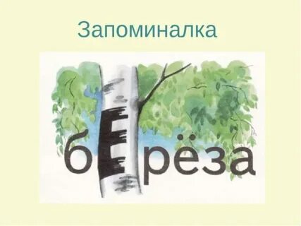 Орфография слова береза