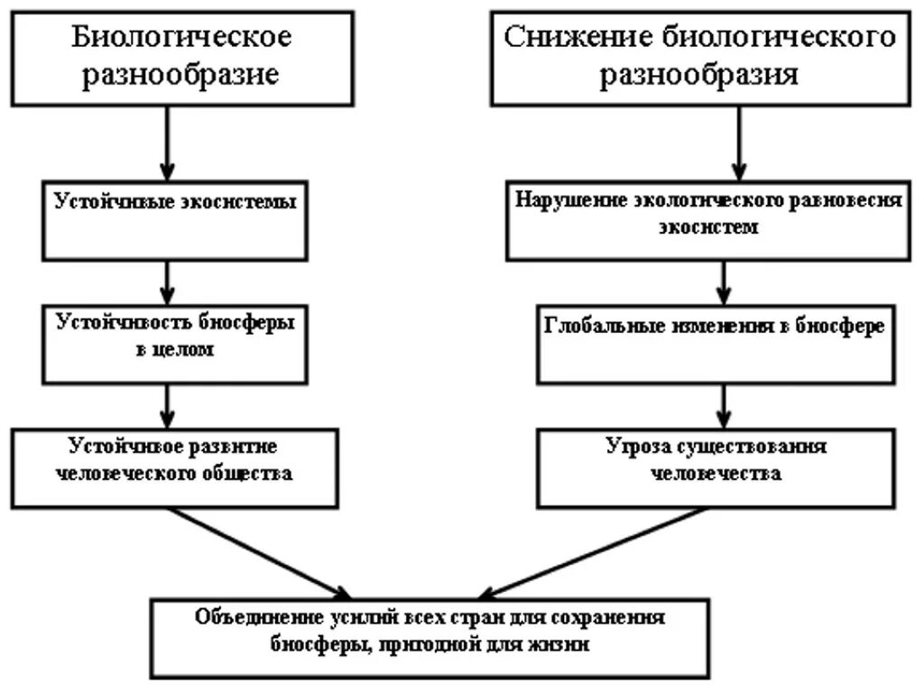 Потеря разнообразия. Причины снижения биологического разнообразия. Причины снижения биоразнообразия. Уменьшение биологического разнообразия причины. Сокращение биоразнообразия последствия.