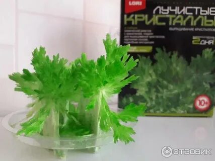 Кристалл результаты