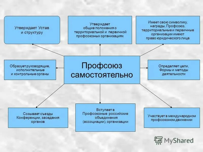 Профсоюзы тк рф. Цели и задачи первичной профсоюзной организации. Основные функции профсоюзной организации. Правовой статус профессиональных союзов схема. Схема профсоюза.