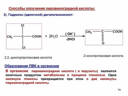 Пировиноградная кислота
