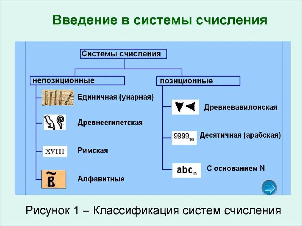 Типы систем счисления примеры. Позиционные системы счисления виды. Виды систем счисления в информатике примеры. Полные системы счисления