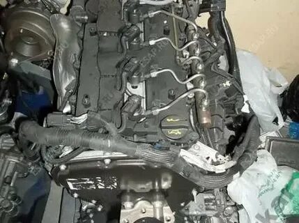 Ford transit 2.2 tdci масло в двигатель