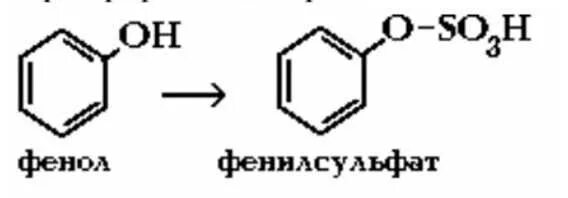 Сульфатная конъюгация фенола. Реакция сульфотрансферазы. Реакции конъюгации токсикологическая химия. Напишите пример реакцию конъюгации.