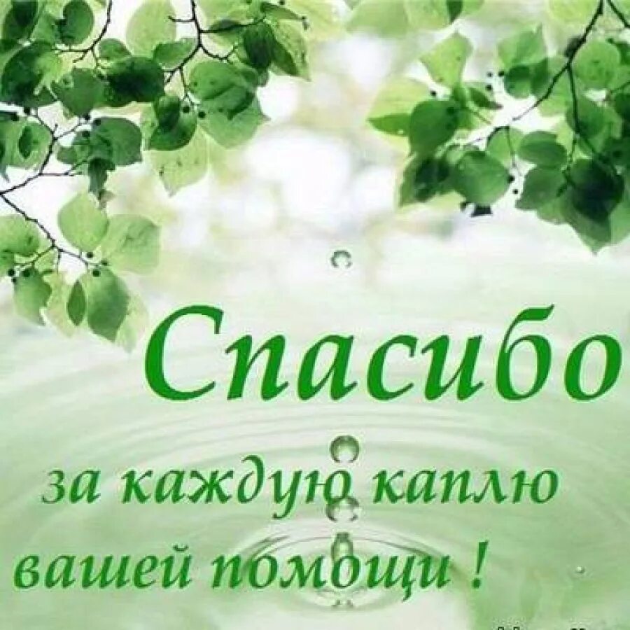 Слова благодарности людям за помощь. Берегите природу. Благодарим за помощь. Спасибо за поддержку. Экология воды.