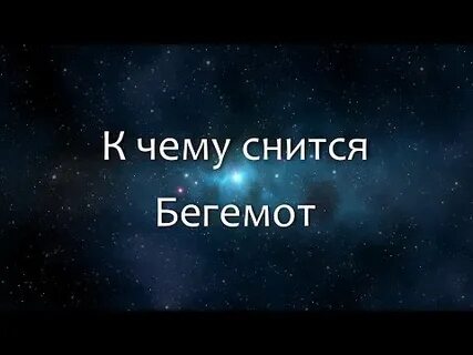 К чему снится слон мужчине