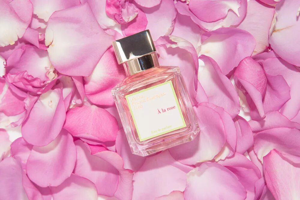 Духи Rose Fragrances. Пудровая розовая туалетная вода. Rose Rose духи. Туалетная вода rose отзывы