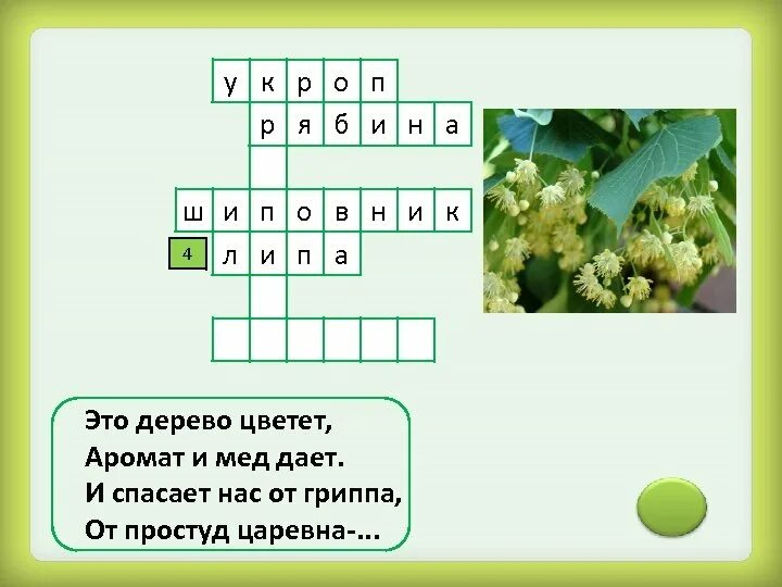 Кроссворд лекарственные рас. Кроссворд растения. Травянистое растение сканворд. Кроссворд на тему ядовитые растения и грибы. Лекарственные растения задания.
