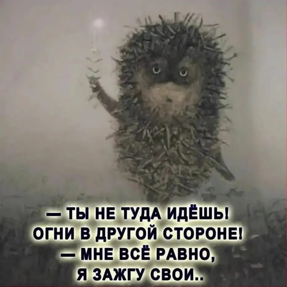 Идем ненадолго