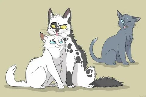 Коты воители пары